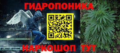ПСИЛОЦИБИНОВЫЕ ГРИБЫ Краснокаменск