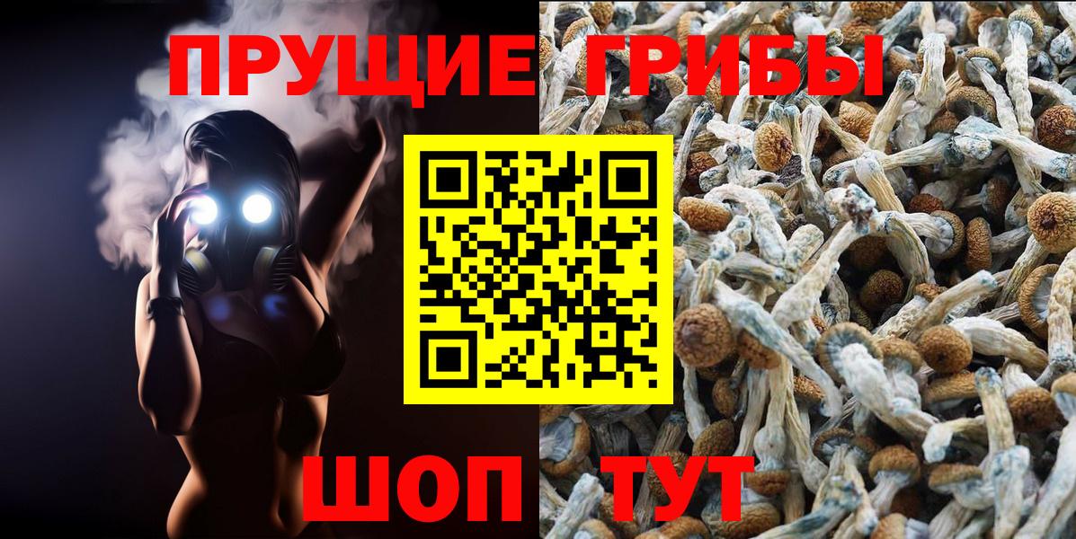 Галлюциногенные грибы Magic Shrooms Конаково