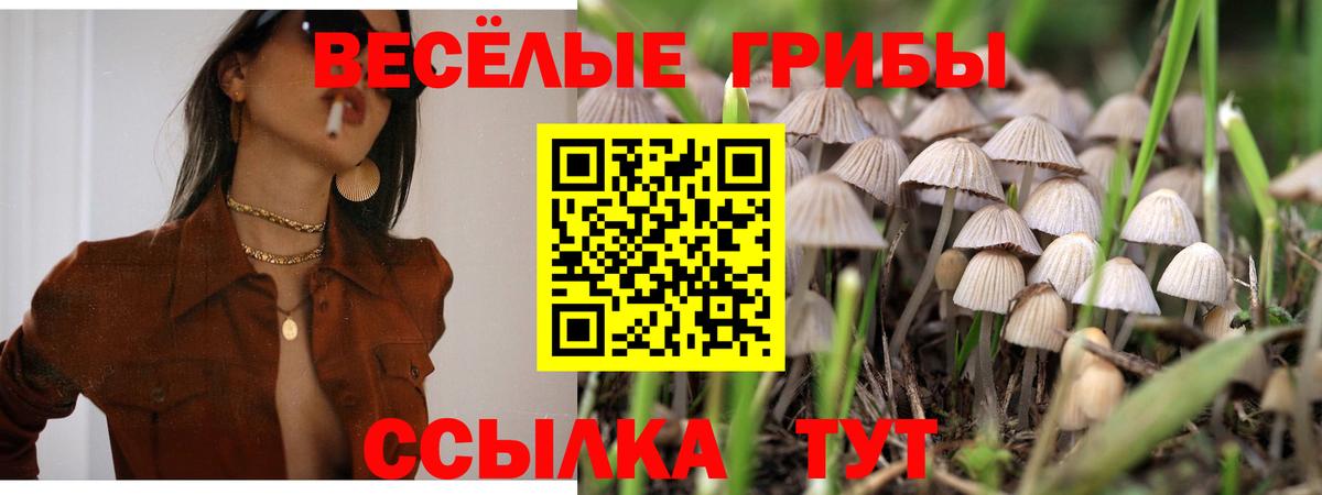 Конаково  Псилоцибиновые грибы MAGIC MUSHROOMS  Псилоцибиновые грибы ЛСД  наркота  Вход с VPN 